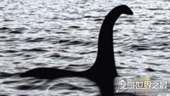 传闻中的尼斯湖水怪图片，真相已被揭开(疑似巨型鳗鱼)