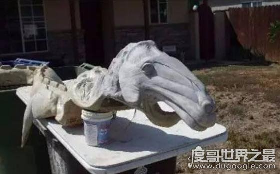 世界上真实存在的水怪，卡布罗龙(体长20米的马头蛇尾大海怪)