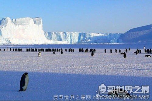 世界上十大最寒冷地方