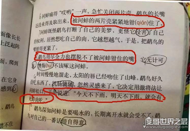 小学生质疑鹬蚌相争，嘴巴都被夹住了它们怎么说话的