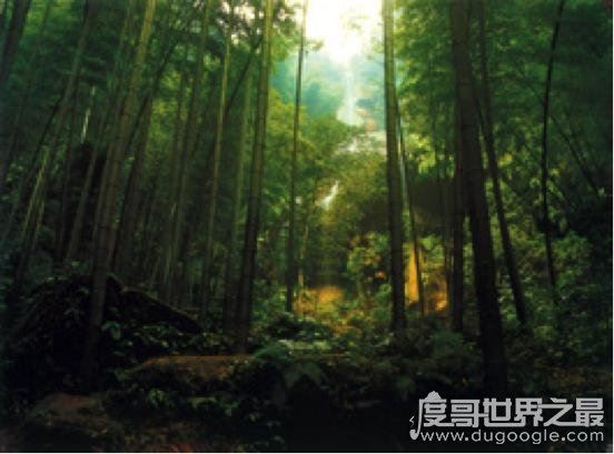 网友最关注的中国十大未解之谜,罗布泊双鱼玉佩事件最诡异