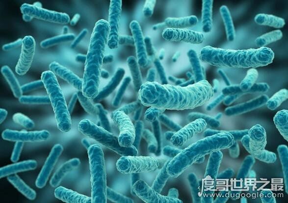 非典是哪一年发生的,2002年最开始在广东出现(03年全球爆发)