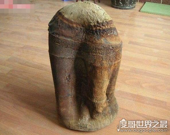 太岁是什么东西，肉灵芝是地球上所有生物的祖宗(图片)