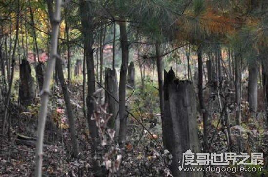 揭秘贵阳空中怪车事件真相，疑是为外星人光临