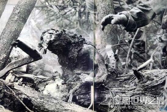 史上死伤最惨重的空难，日航123空难(520人遇难)