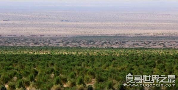 支付宝蚂蚁森林有什么用，促进人们节能减排还能够赚钱