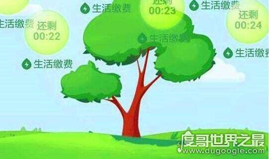 支付宝蚂蚁森林有什么用，促进人们节能减排还能够赚钱