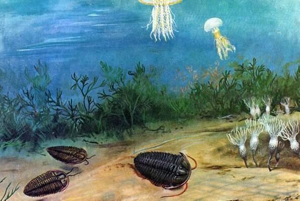 第五次生物大灭绝的根本原因,自然灾害带来的毁灭