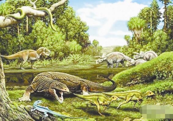 第五次生物大灭绝的根本原因，自然灾害带来的毁灭