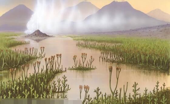 第五次生物大灭绝的根本原因，自然灾害带来的毁灭