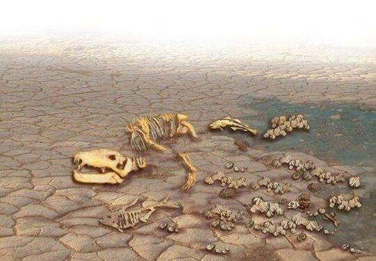 第五次生物大灭绝的根本原因，自然灾害带来的毁灭