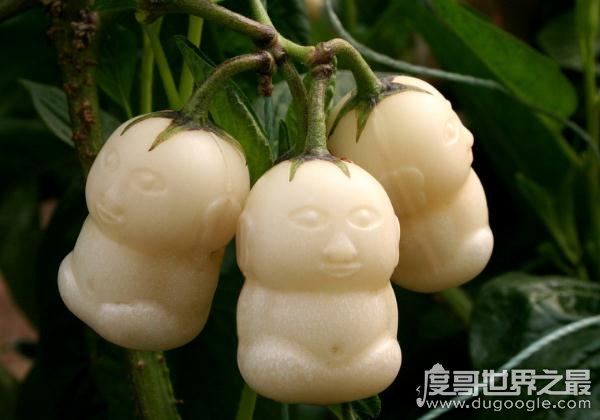 西游记人参果树下藏着什么,每个人参果体内都有一个生灵(图片)