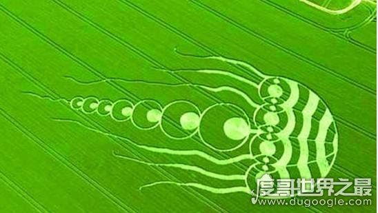 诡异的麦田怪圈之谜，传说是外星人留下的痕迹(英国出现次数最多)