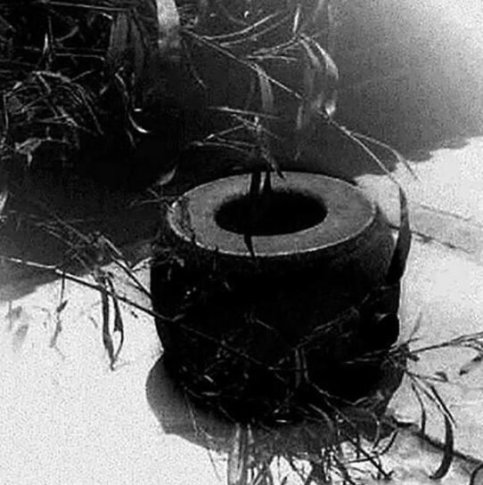 光绪皇帝最爱的女人珍妃，光绪珍妃的凄美爱情(照片)