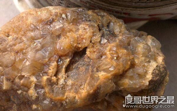 太岁是什么东西，一种叫肉灵芝的生物（可食用补身体）
