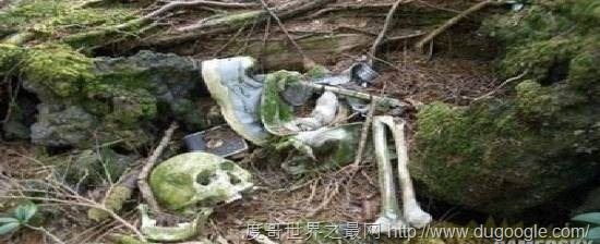 全球十大最恐怖的地方,墨西哥娃娃岛和法国巴黎地下墓穴