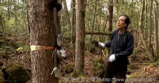全球十大最恐怖的地方，墨西哥娃娃岛和法国巴黎地下墓穴