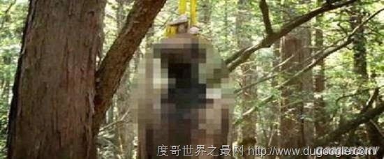 全球十大最恐怖的地方，墨西哥娃娃岛和法国巴黎地下墓穴