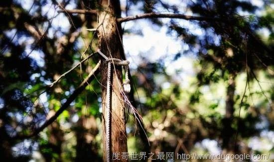 全球十大最恐怖的地方，墨西哥娃娃岛和法国巴黎地下墓穴