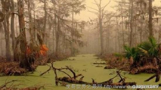全球十大最恐怖的地方，墨西哥娃娃岛和法国巴黎地下墓穴