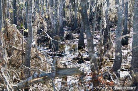 全球十大最恐怖的地方，墨西哥娃娃岛和法国巴黎地下墓穴