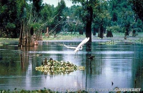 全球十大最恐怖的地方，墨西哥娃娃岛和法国巴黎地下墓穴