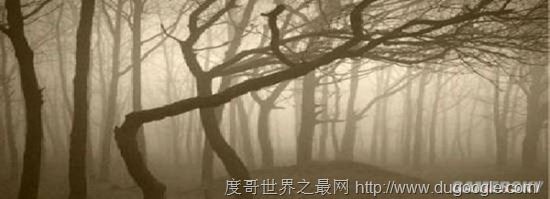 全球十大最恐怖的地方，墨西哥娃娃岛和法国巴黎地下墓穴