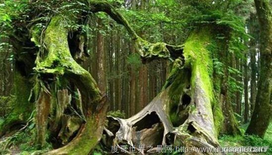 全球十大最恐怖的地方，墨西哥娃娃岛和法国巴黎地下墓穴