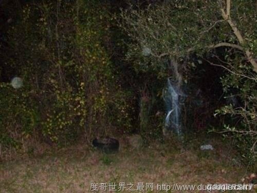 全球十大最恐怖的地方，墨西哥娃娃岛和法国巴黎地下墓穴