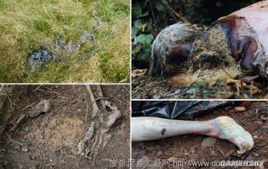 全球十大最恐怖的地方,墨西哥娃娃岛和法国巴黎地下墓穴