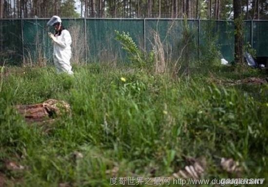 全球十大最恐怖的地方，墨西哥娃娃岛和法国巴黎地下墓穴