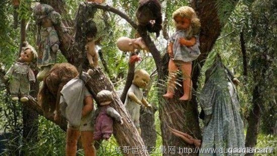全球十大最恐怖的地方,墨西哥娃娃岛和法国巴黎地下墓穴