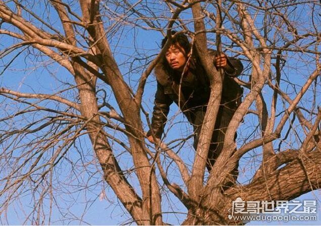 哈喽树先生解析细思极恐，看正常人怎么一步步沦落成为疯子