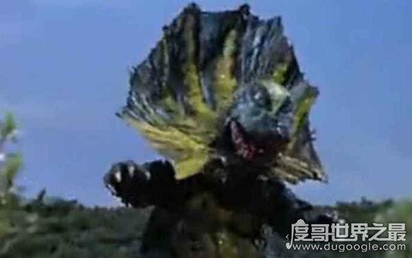 世界上十大最慢的动物，香蕉鼻涕虫每小时仅移动0.2英里（靠肌肉收缩移动）