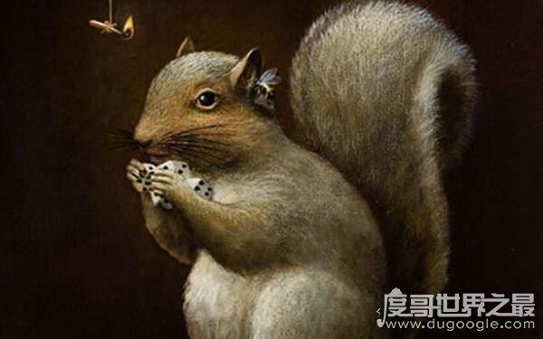 世界上十大最慢的动物，香蕉鼻涕虫每小时仅移动0.2英里（靠肌肉收缩移动）