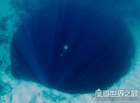 最狠的几张深海恐惧症测试图,能坚持看完的心理都很健康