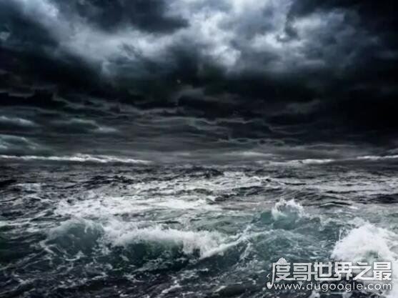 最狠的几张深海恐惧症测试图，能坚持看完的心理都很健康