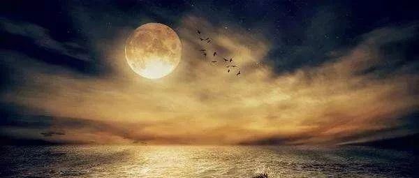 千万不能唤醒前世记忆，小心脑子记忆乱码无法承受