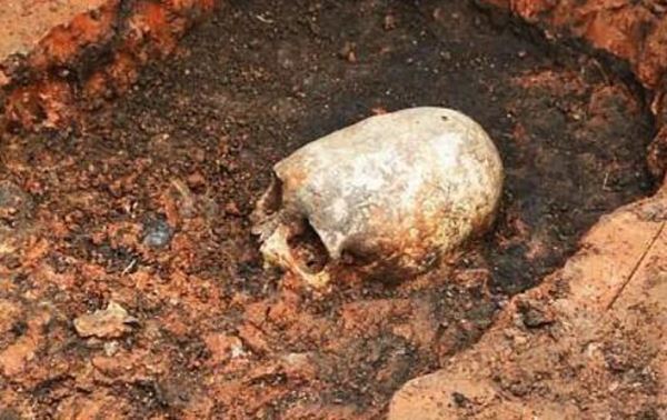 俄罗斯出土一块奇怪头骨，椭圆形像极了外星人（千年遗址）