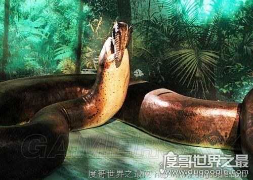 远古巨蛇排行榜,沃那比蛇凶狠残暴排第一(已灭绝)