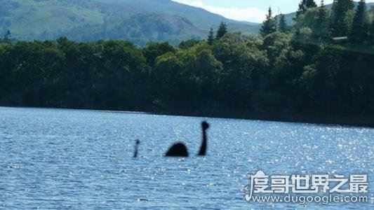 威尼斯水怪之谜真相,湖面泛起巨大的浪花(推测可能是巨型鲶鱼)