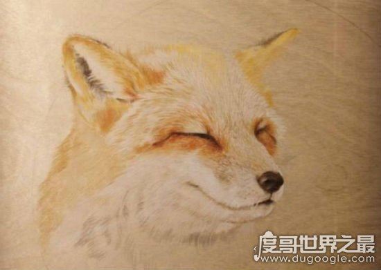 王昱珩老婆张梦圆拜金，导致与水哥王昱珩婚姻破裂