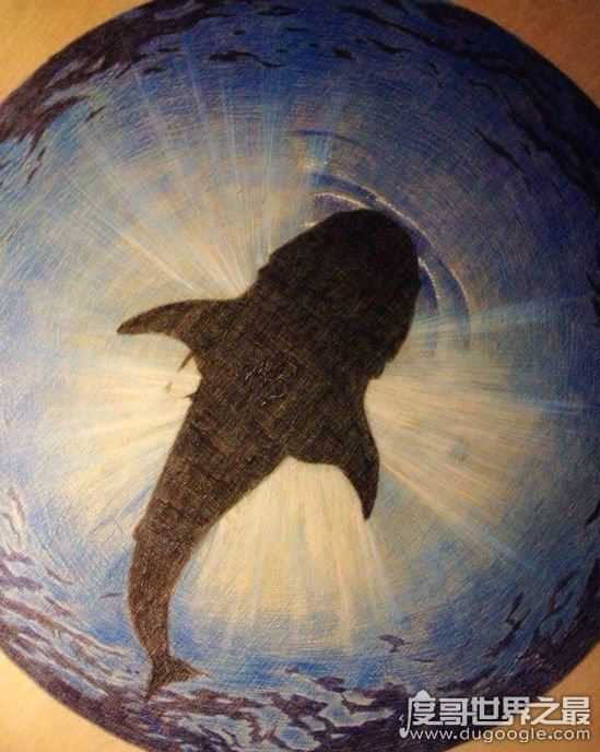 王昱珩老婆张梦圆拜金，导致与水哥王昱珩婚姻破裂