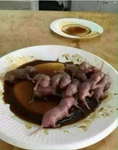 禁菜三吱儿的食用步骤分解，生吃活老鼠(胆小勿试)