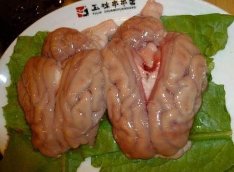 活吃猴脑，生吃活刨猴脑过程残忍至极（不建议尝试）