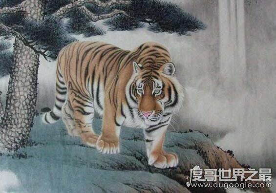 鬼最怕的七种生肖，这些属相的人只要不做亏心事就不怕鬼敲门