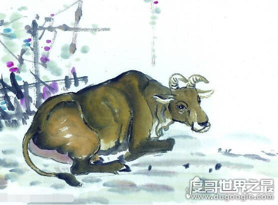 鬼最怕的七种生肖，这些属相的人只要不做亏心事就不怕鬼敲门