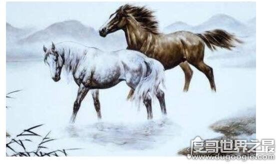 鬼最怕的七种生肖,这些属相的人只要不做亏心事就不怕鬼敲门