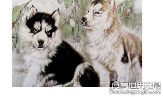 鬼最怕的七种生肖，这些属相的人只要不做亏心事就不怕鬼敲门