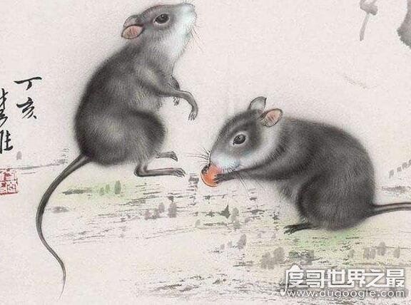 鬼最怕的七种生肖，这些属相的人只要不做亏心事就不怕鬼敲门